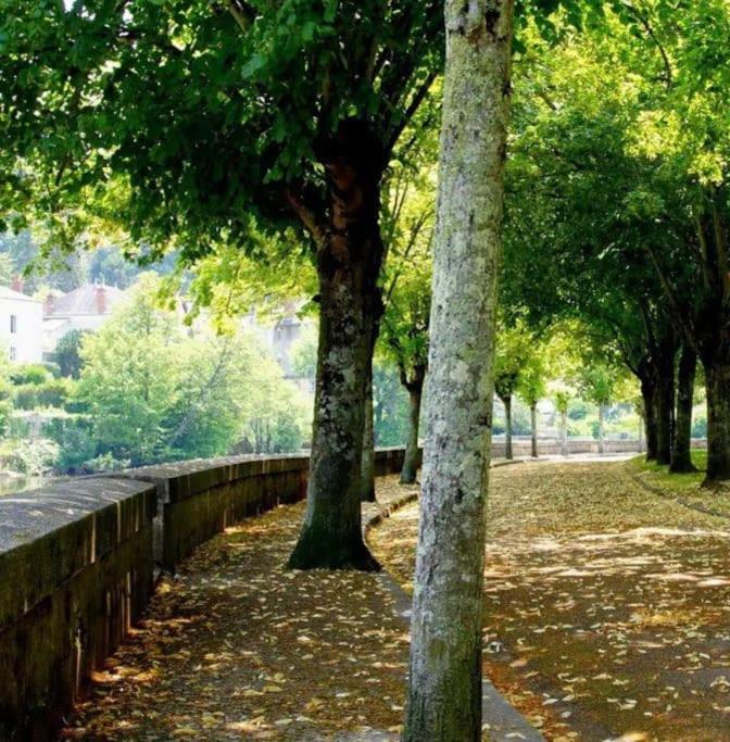 Charmant Studio Argenton Sur Creuse Εξωτερικό φωτογραφία